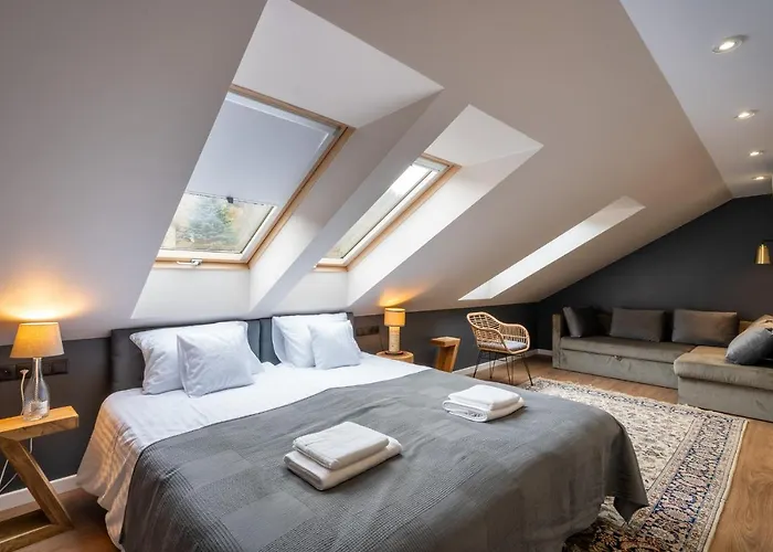 公寓 Zaka 克拉科夫