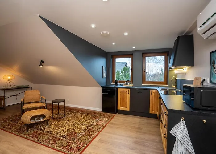 Zaka 公寓 克拉科夫